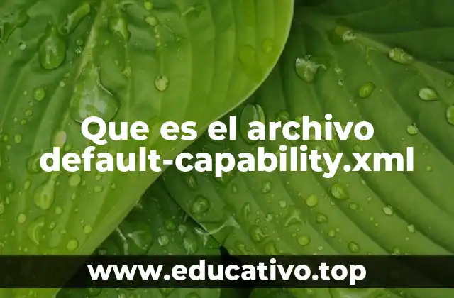 Que es el archivo default-capability.xml
