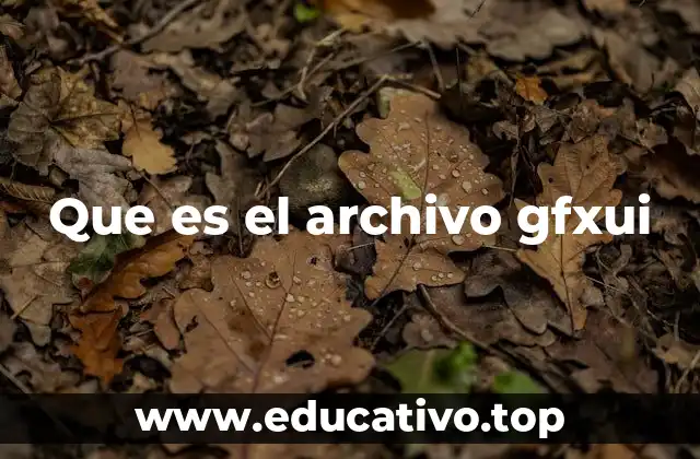 Que es el archivo gfxui
