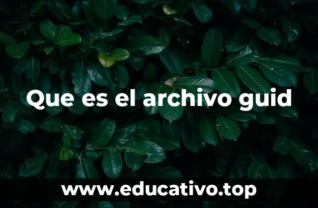 Que es el archivo guid