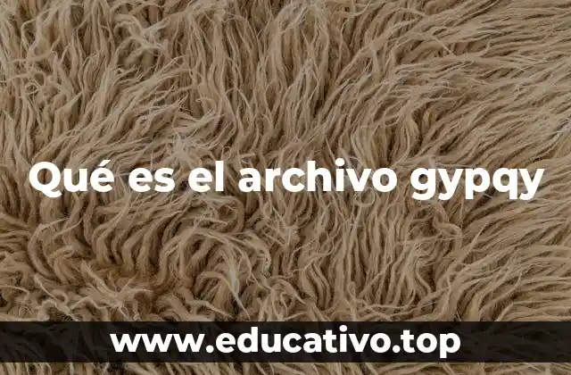 Qué es el archivo gypqy