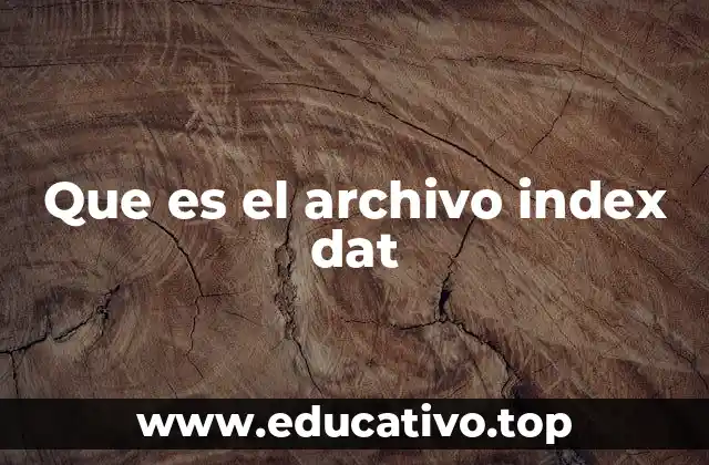 Que es el archivo index dat