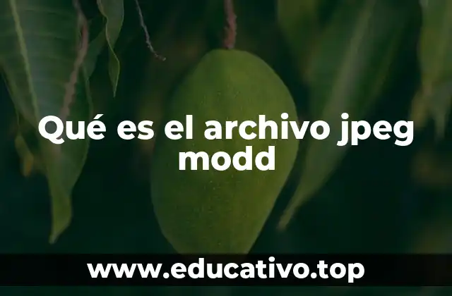 Qué es el archivo jpeg modd