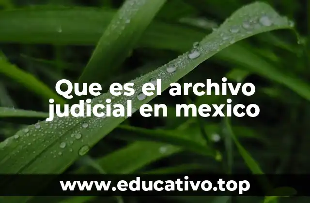 La importancia de los archivos judiciales en el sistema legal