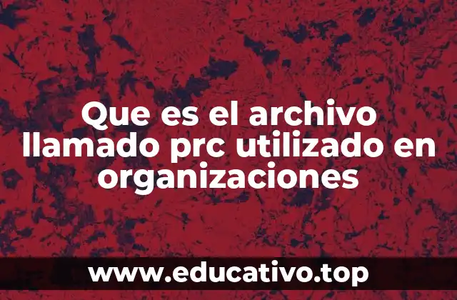 El papel de los archivos .prc en la automatización empresarial