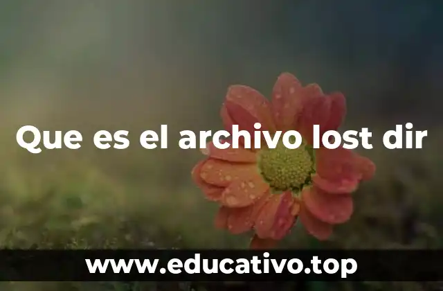 Que es el archivo lost dir