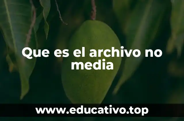 Que es el archivo no media