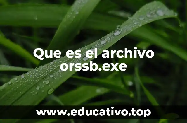 Que es el archivo orssb.exe