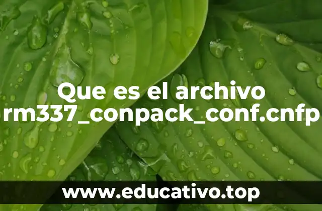 Que es el archivo rm337_conpack_conf.cnfp