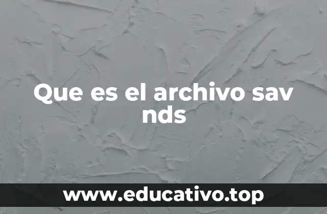 Que es el archivo sav nds