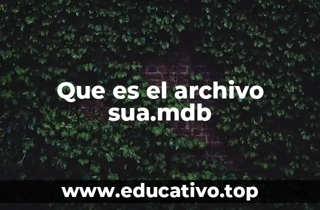 Que es el archivo sua.mdb