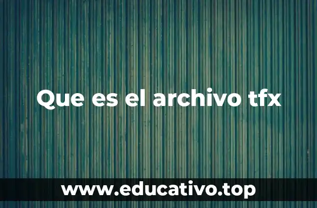 Que es el archivo tfx
