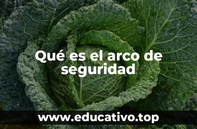 Qué es el arco de seguridad