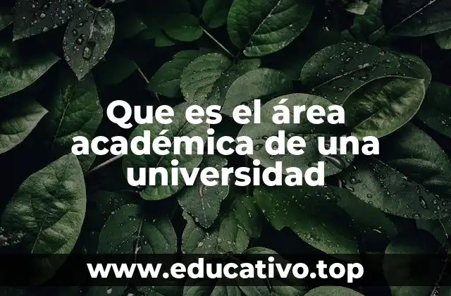 Que es el área académica de una universidad
