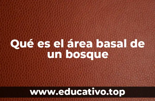 Cómo se relaciona el área basal con la estructura del bosque