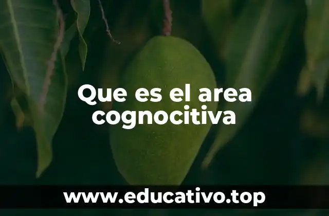 Que es el area cognocitiva