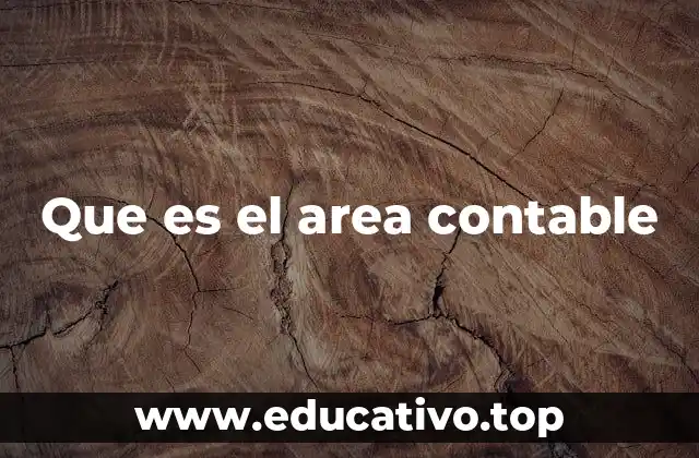 Que es el area contable