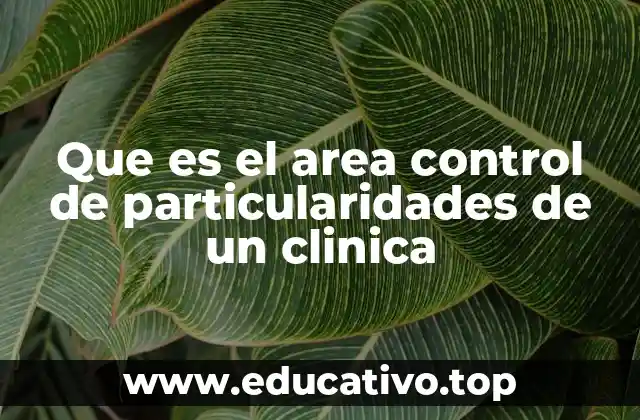 La importancia del control interno en clínicas médicas