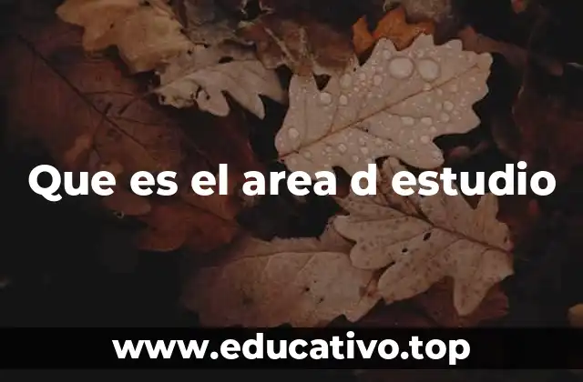 Que es el area d estudio