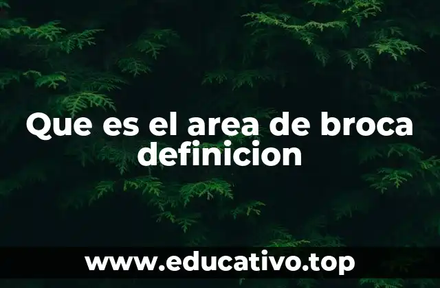Que es el area de broca definicion
