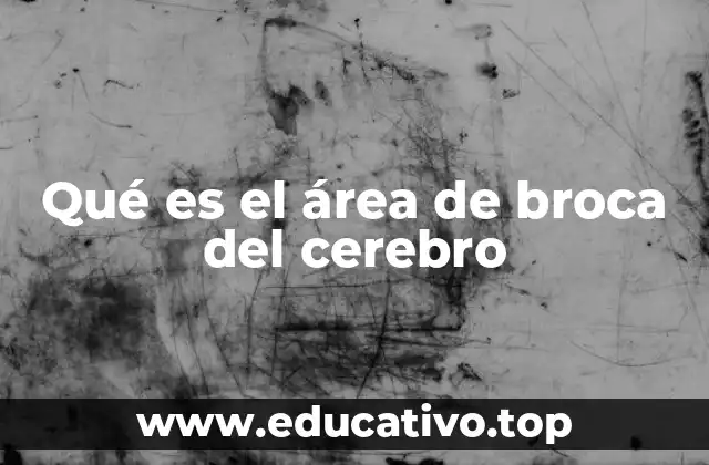 Qué es el área de broca del cerebro