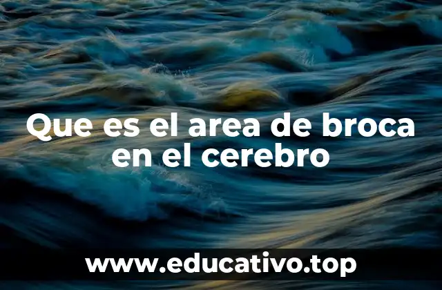 Que es el area de broca en el cerebro