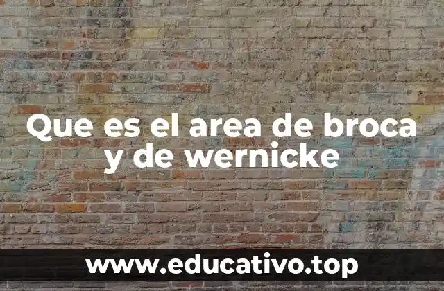 Que es el area de broca y de wernicke