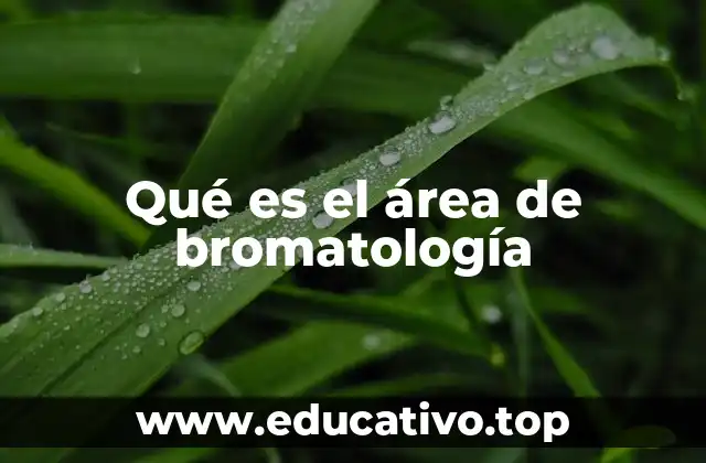 Qué es el área de bromatología