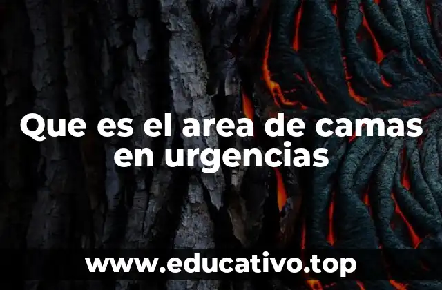 Que es el area de camas en urgencias