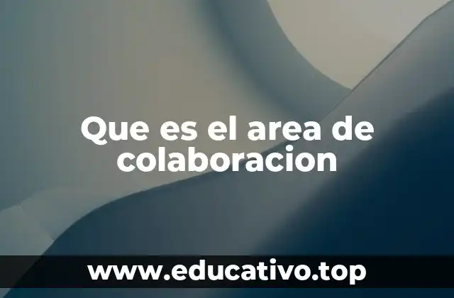 Que es el area de colaboracion