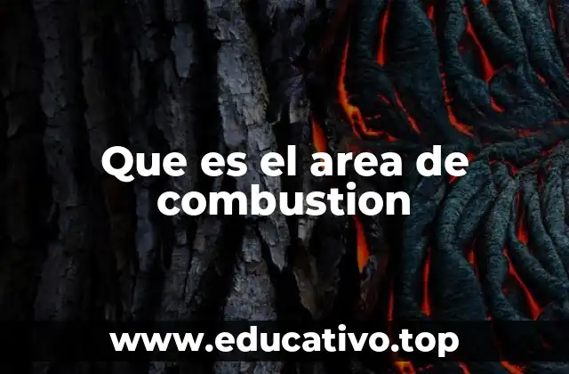 Que es el area de combustion