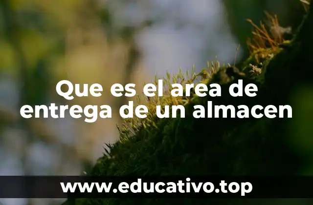 Que es el area de entrega de un almacen