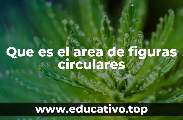 Que es el area de figuras circulares