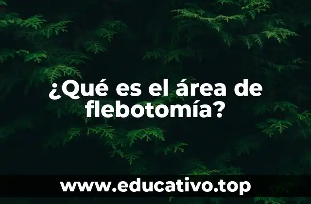 ¿Qué es el área de flebotomía?