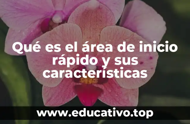 Qué es el área de inicio rápido y sus características