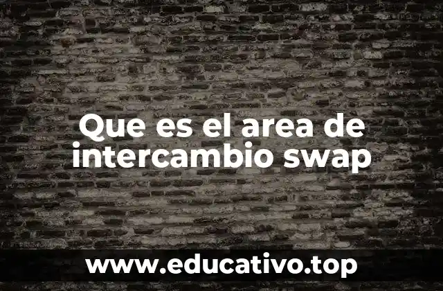 Que es el area de intercambio swap