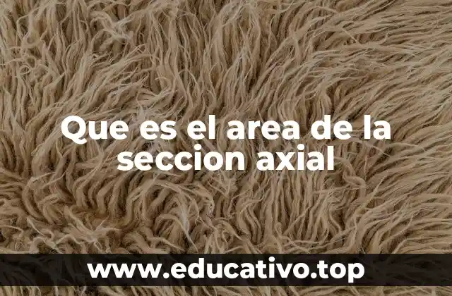Que es el area de la seccion axial