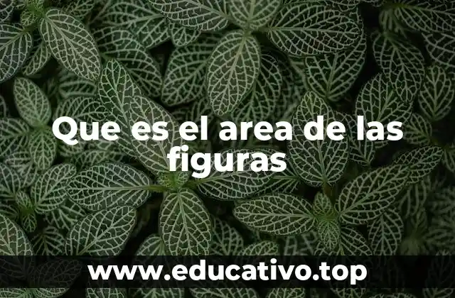 Que es el area de las figuras