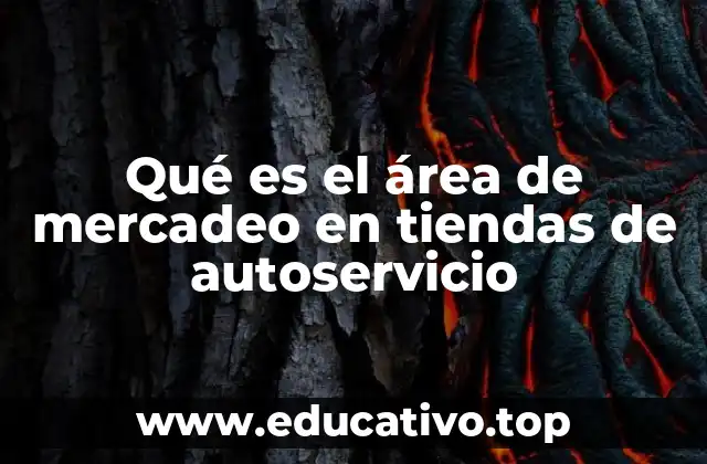 Qué es el área de mercadeo en tiendas de autoservicio