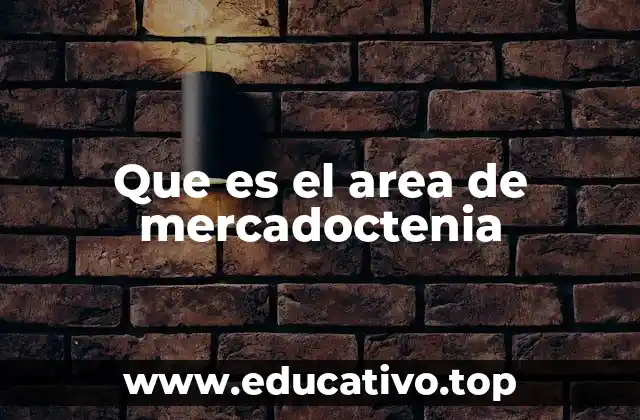 Que es el area de mercadoctenia