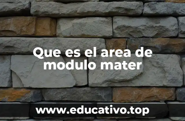 Que es el area de modulo mater