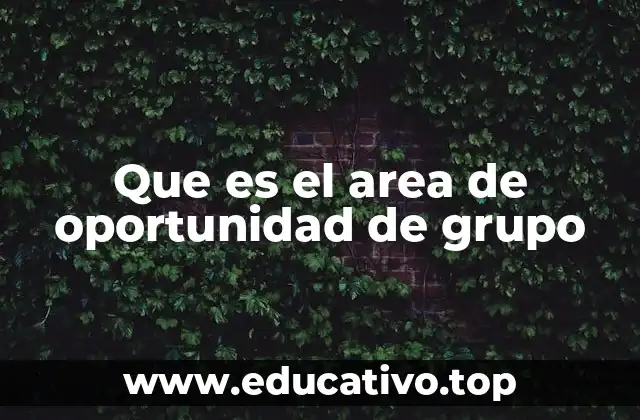 Que es el area de oportunidad de grupo