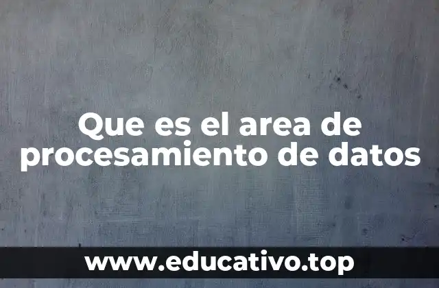 Que es el area de procesamiento de datos