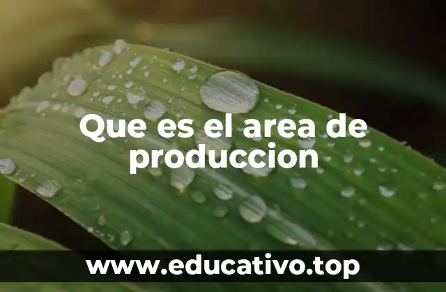 Que es el area de produccion