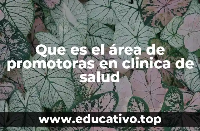 El rol de las promotoras en la mejora de la salud comunitaria