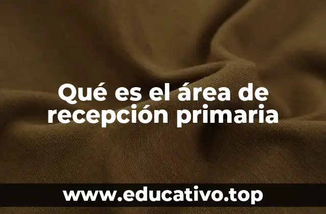 Qué es el área de recepción primaria