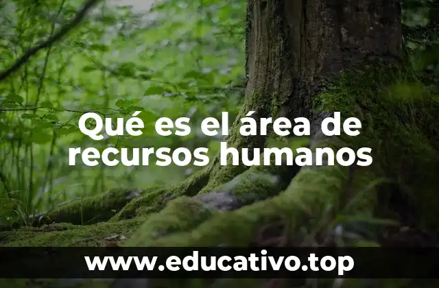 Qué es el área de recursos humanos