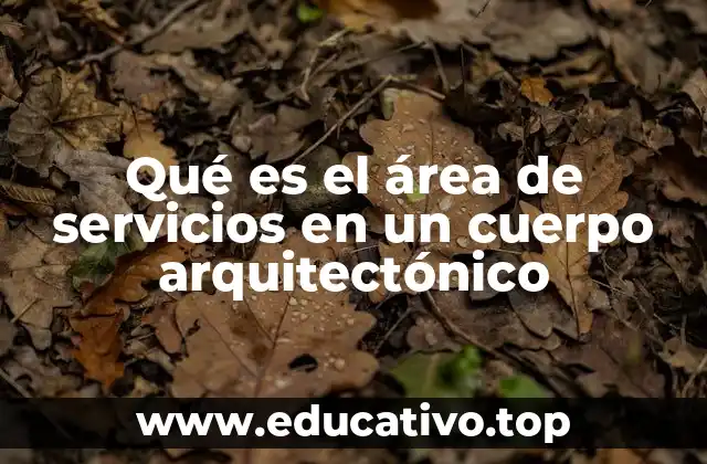 Qué es el área de servicios en un cuerpo arquitectónico