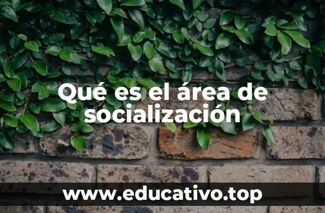 Qué es el área de socialización