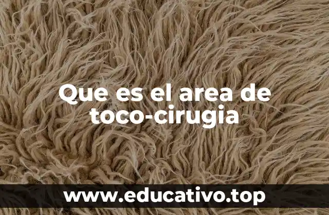 Que es el area de toco-cirugia
