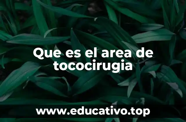 Que es el area de tococirugia